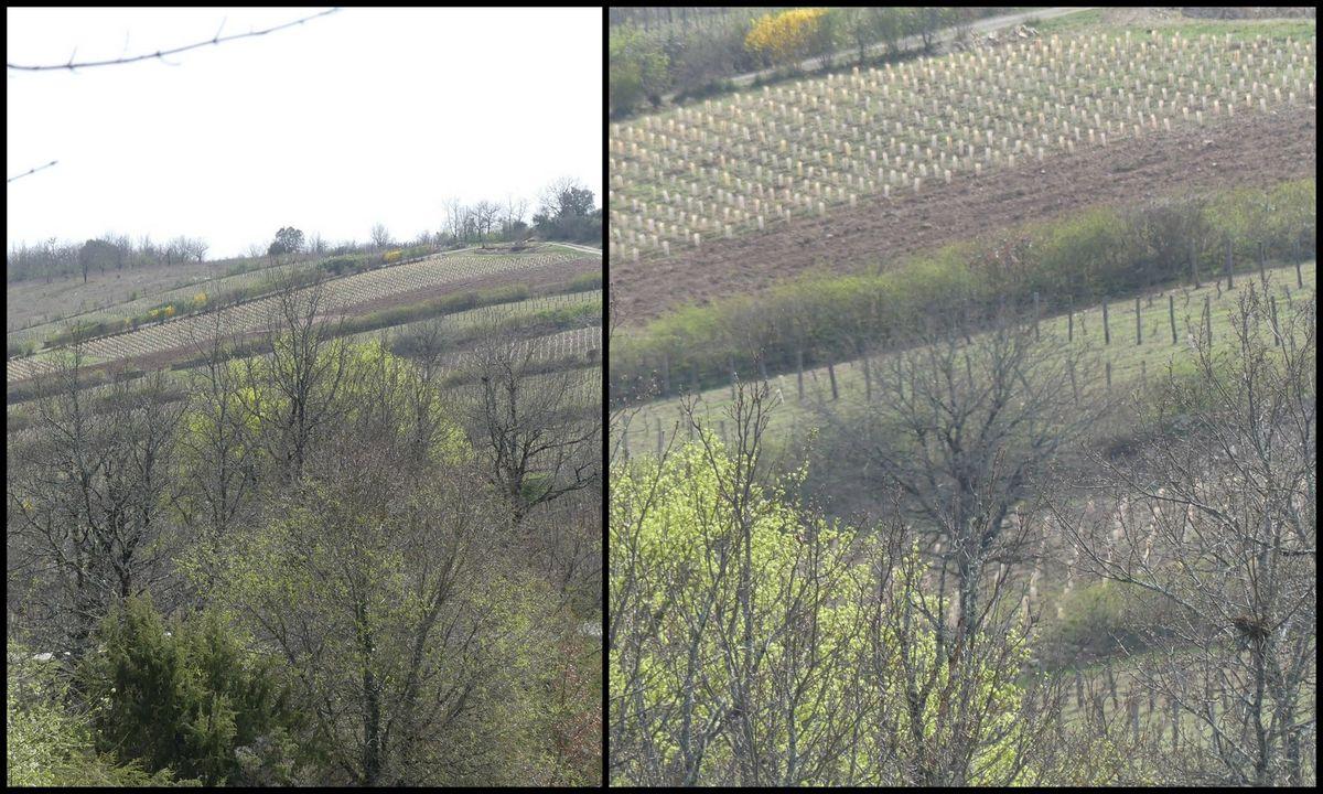 27 mars 2022 rando netto combe du paysan4 resultat