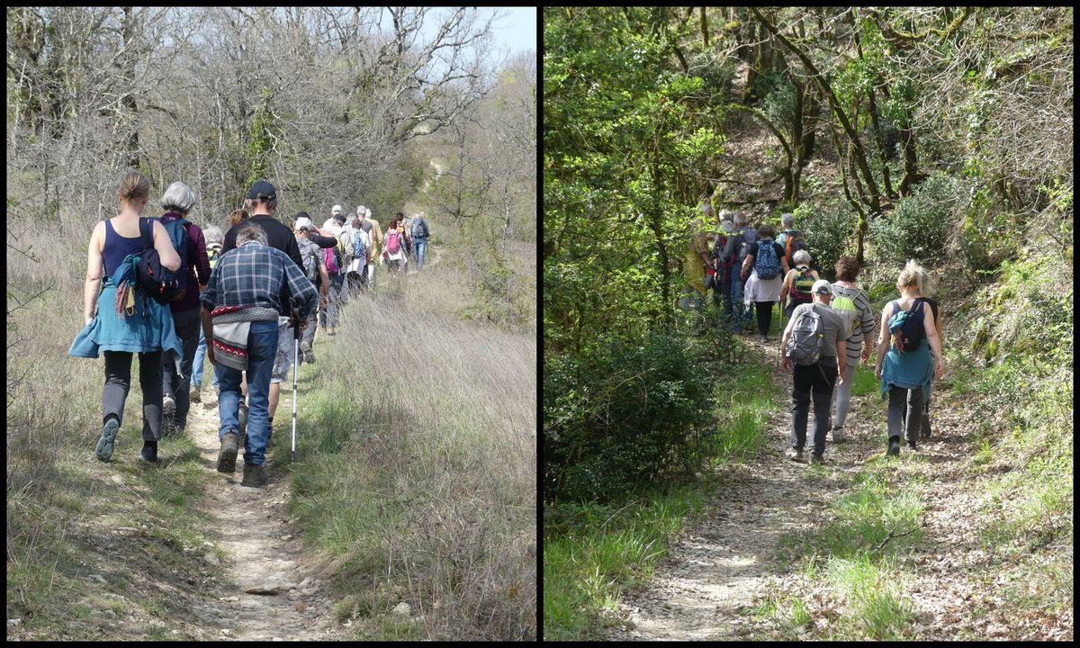 27 mars 2022 rando netto combe du paysan5 resultat