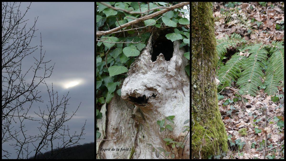 29 janvier 23 rando boissieres18 resultat