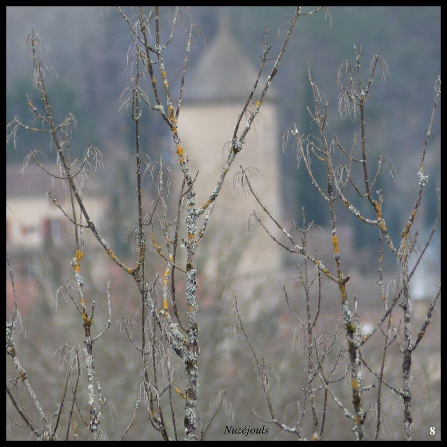 29 janvier 23 rando boissieres7 resultat