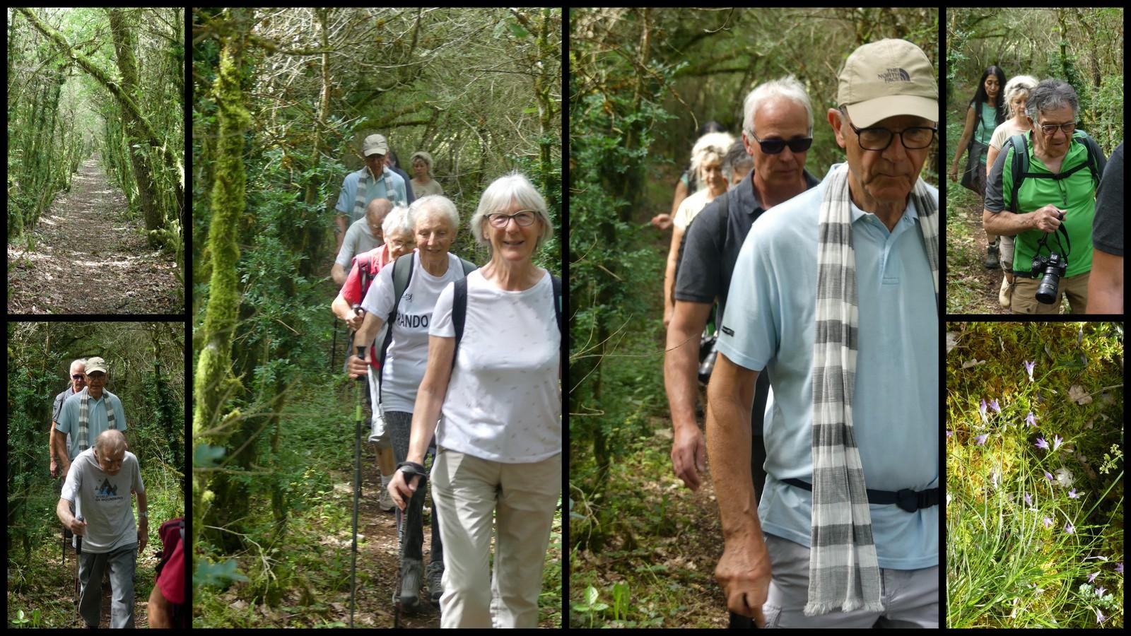 4 juillet 2021 st chels13