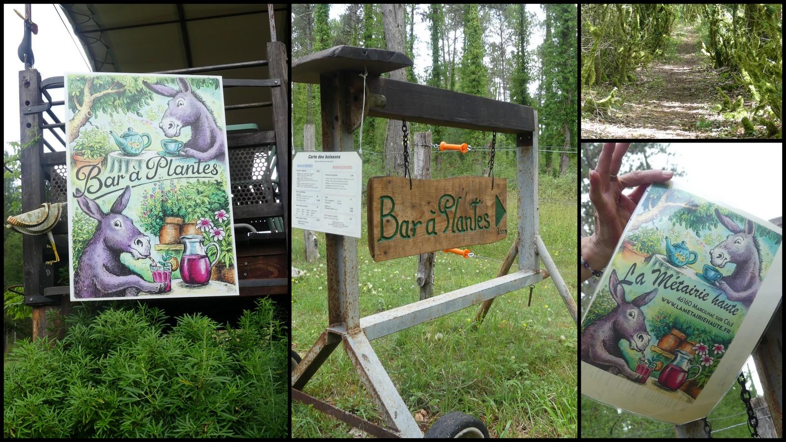 4 juillet 2021 st chels14