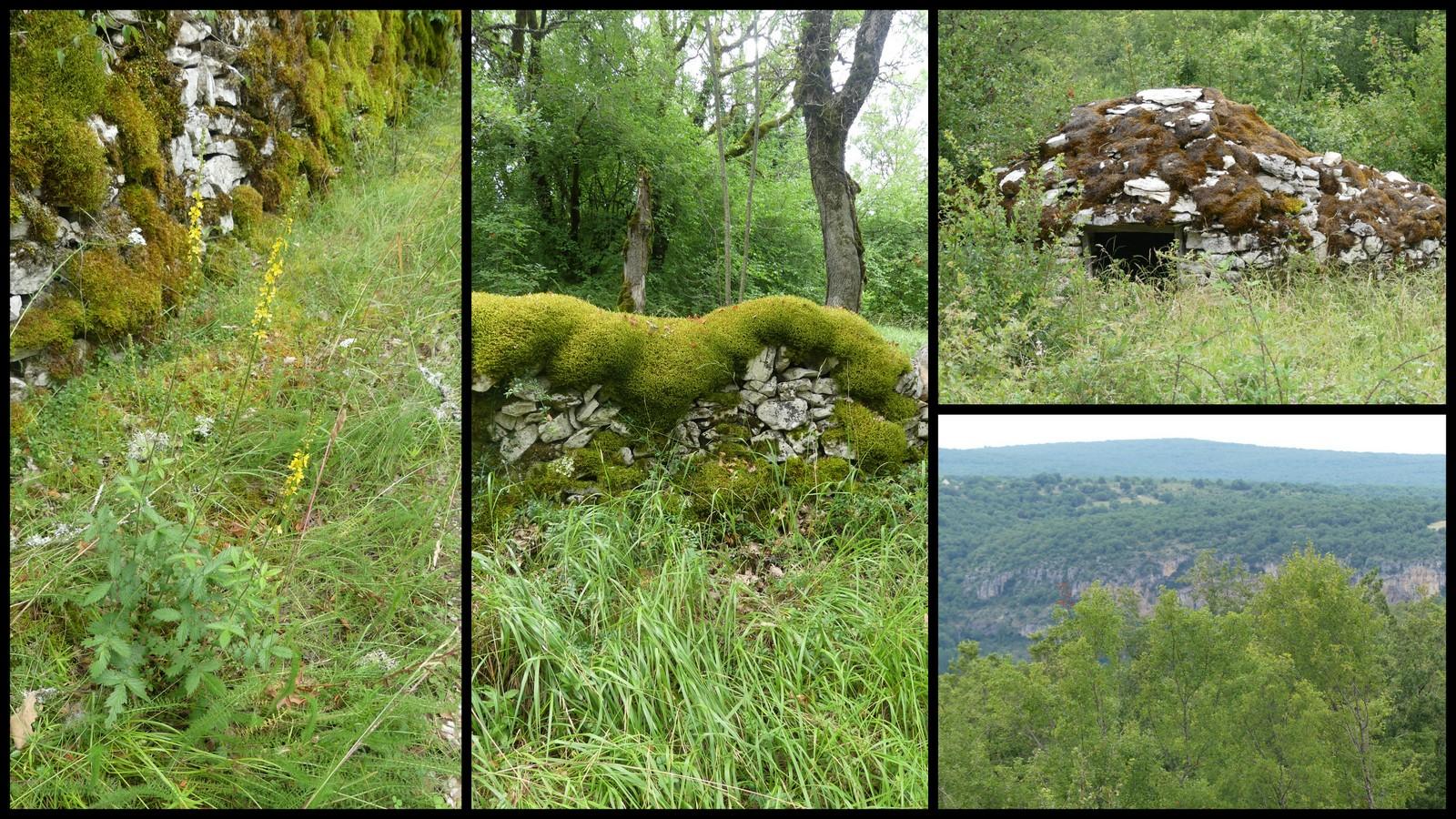 4 juillet 2021 st chels23