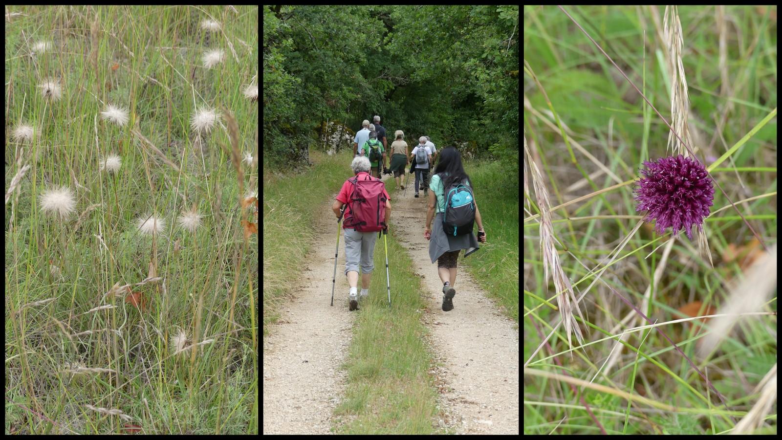 4 juillet 2021 st chels25