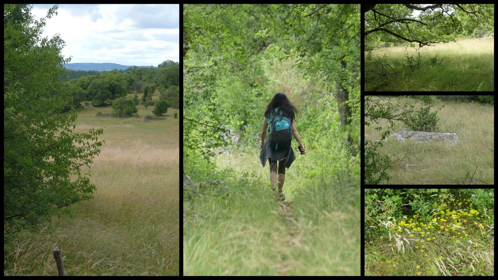 4 juillet 2021 st chels26