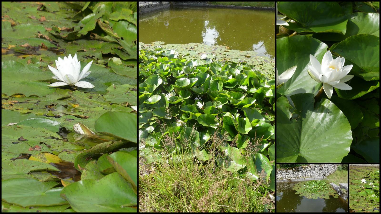 4 juillet 2021 st chels31