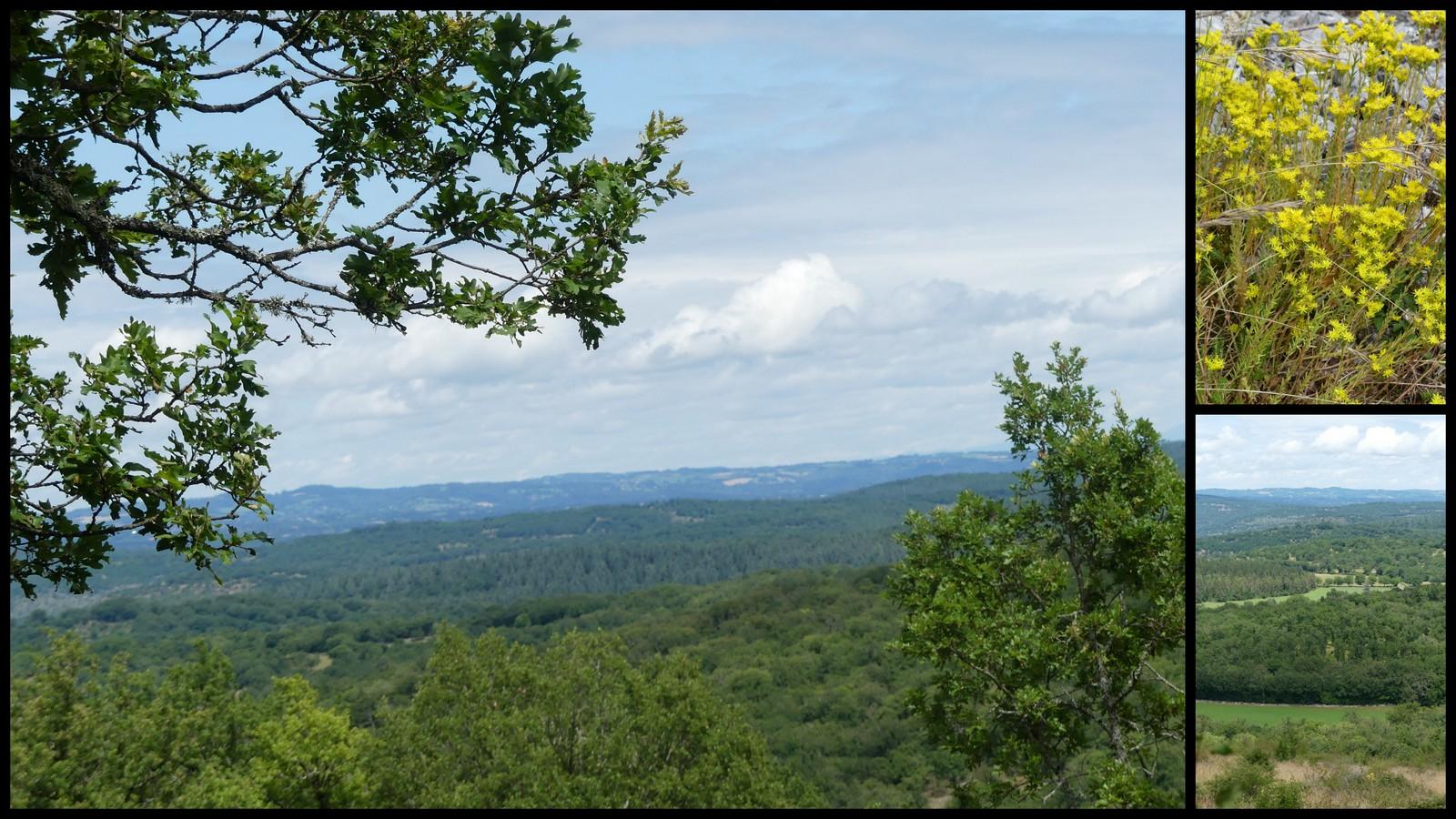 4 juillet 2021 st chels5