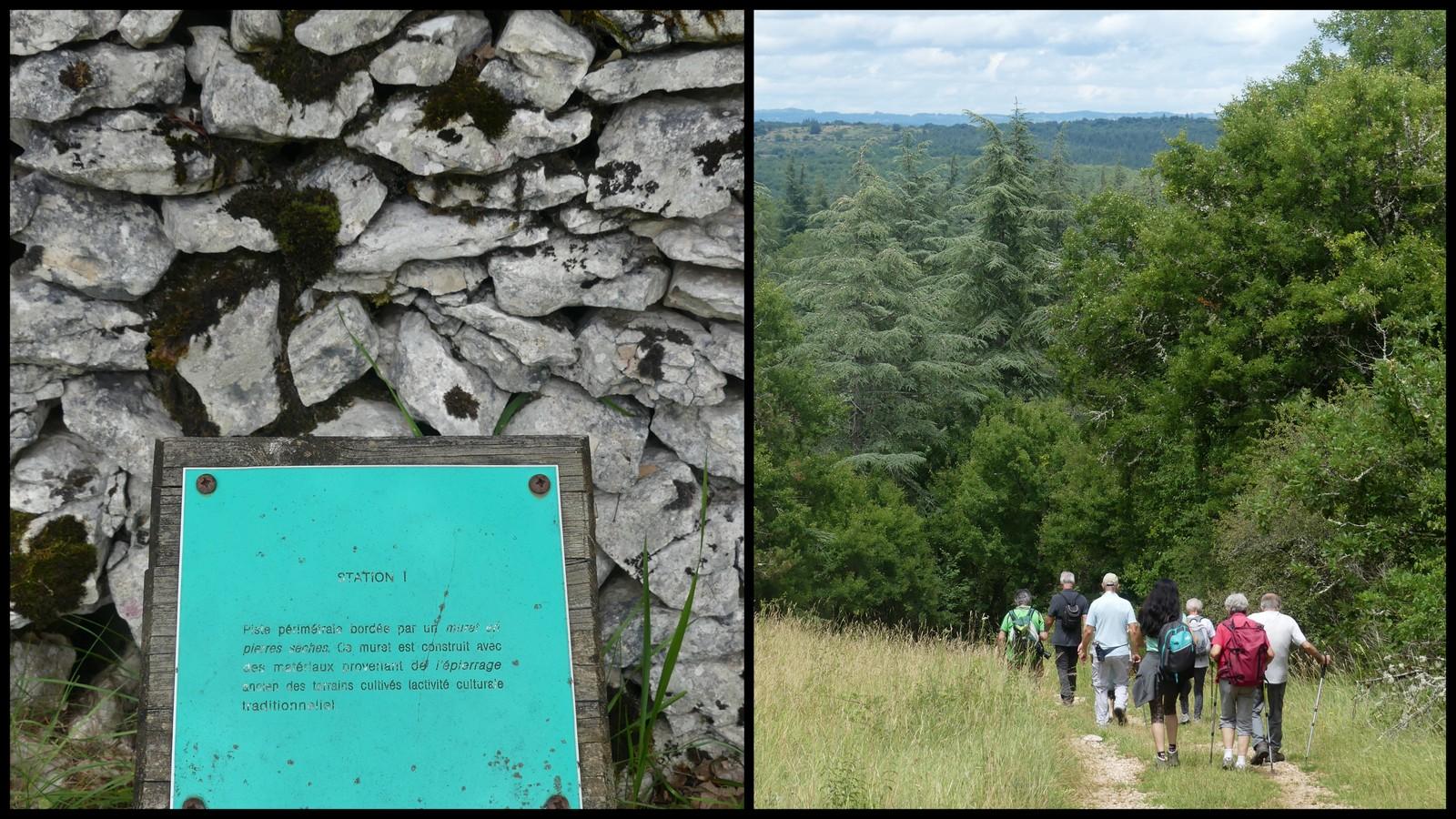 4 juillet 2021 st chels7