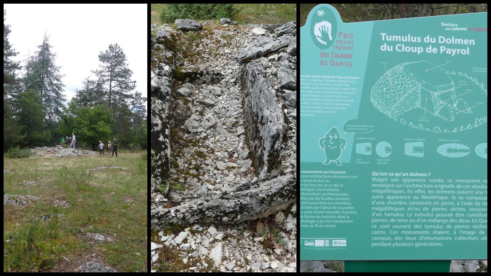 4 juillet 2021 st chels9