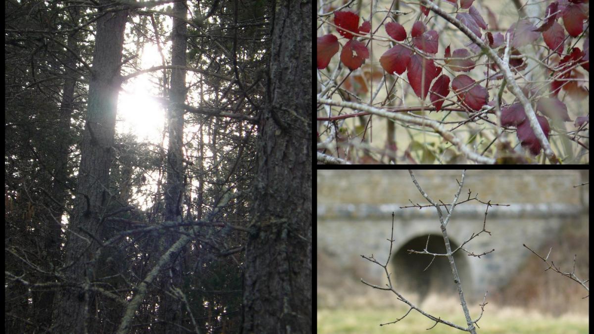 4 mars 2018 rando douelle rassiels14