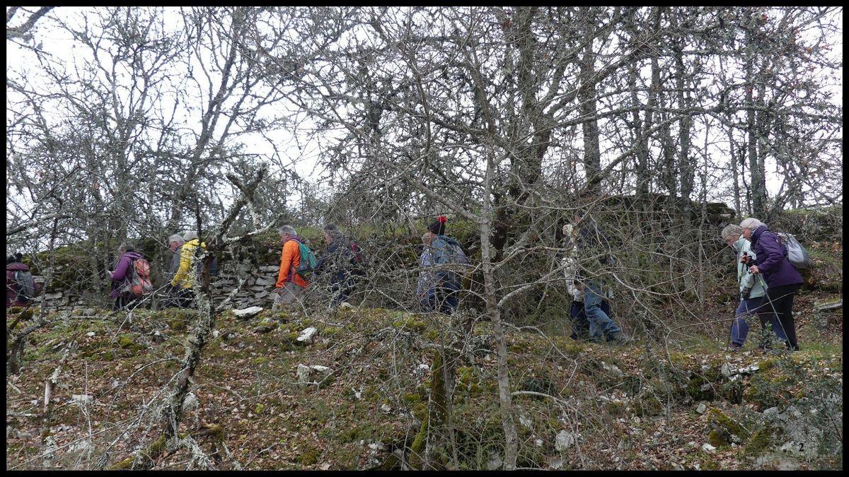 5 fevrier 23 rando st medard1 resultat