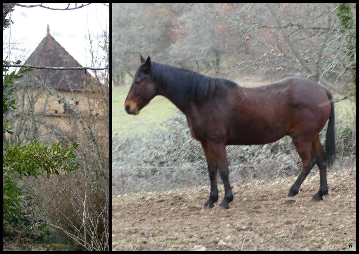 5 fevrier 23 rando st medard5 resultat