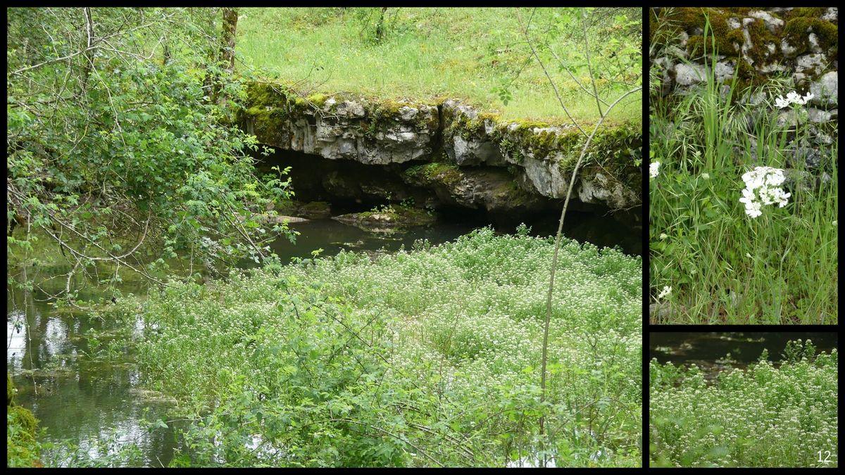 7 mai 23 rando caniac du causse circuit planagreze11 resultat