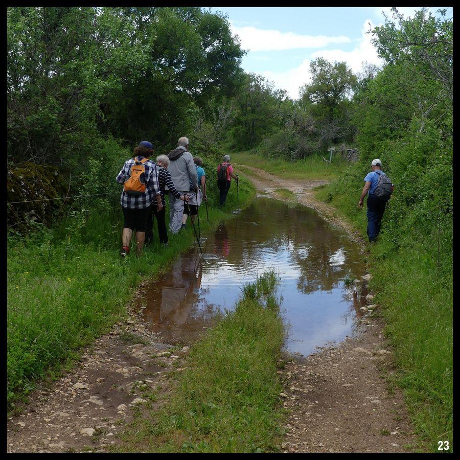 7 mai 23 rando caniac du causse circuit planagreze22 resultat