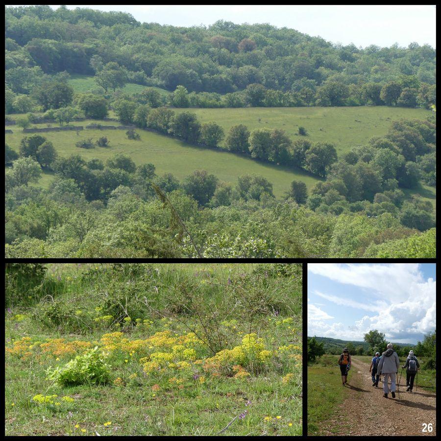 7 mai 23 rando caniac du causse circuit planagreze24 resultat