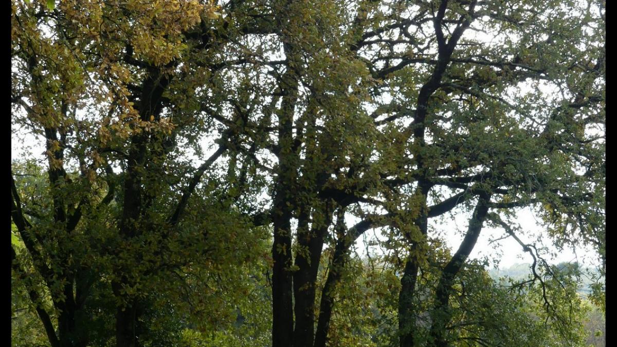 Degagnac 17 nov 20194