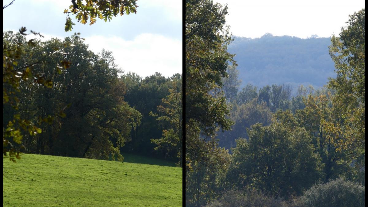 Degagnac 17 nov 20196