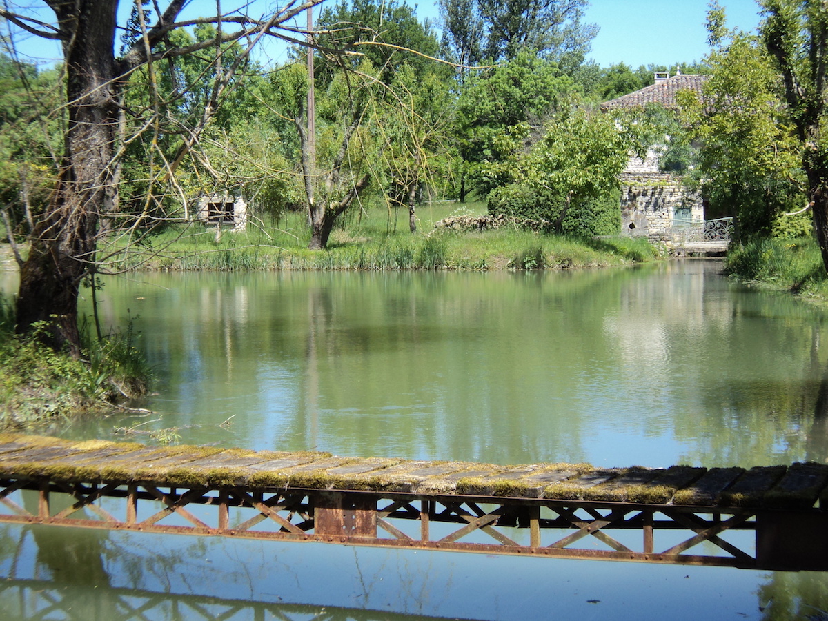 Dsc01006