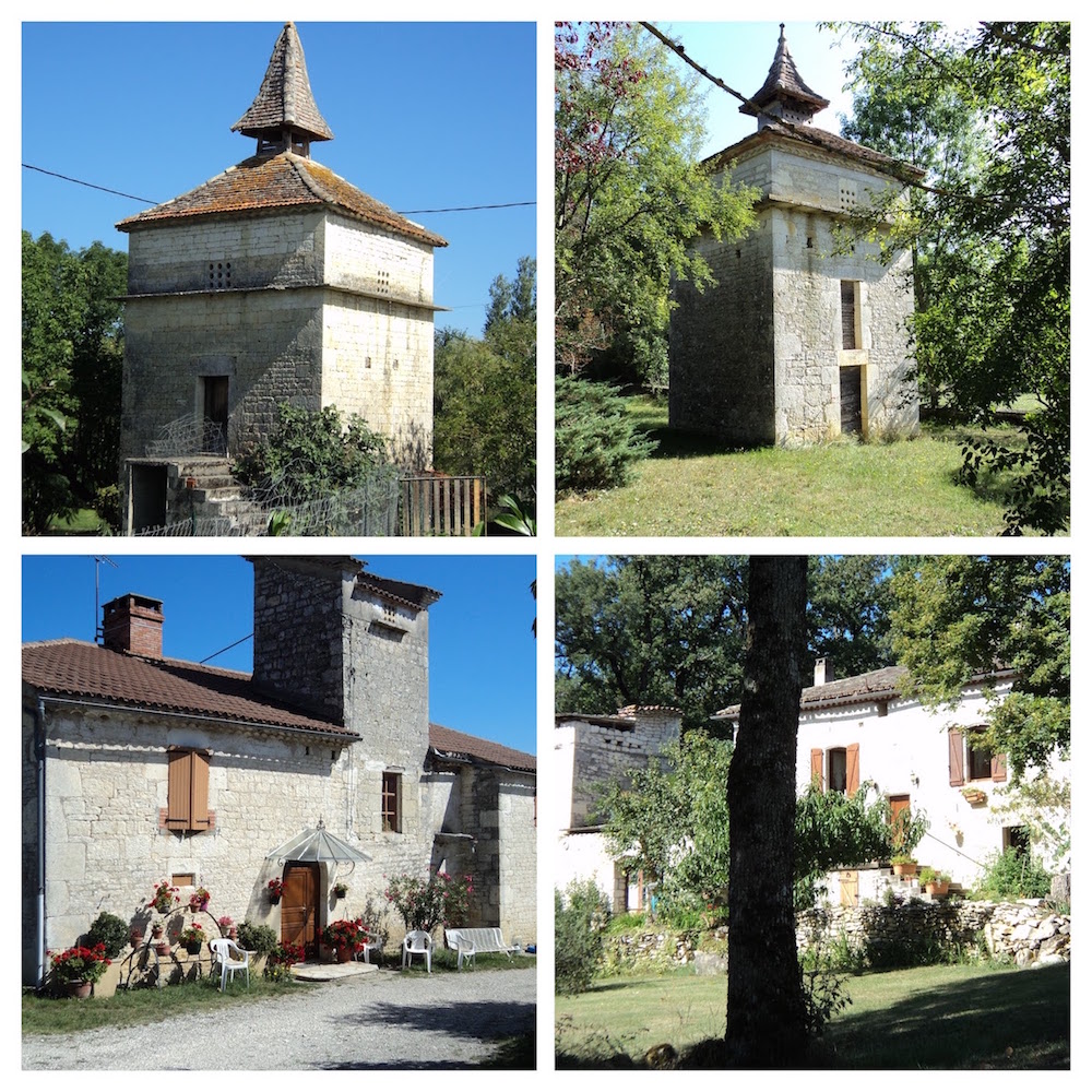 Dsc02023 collage