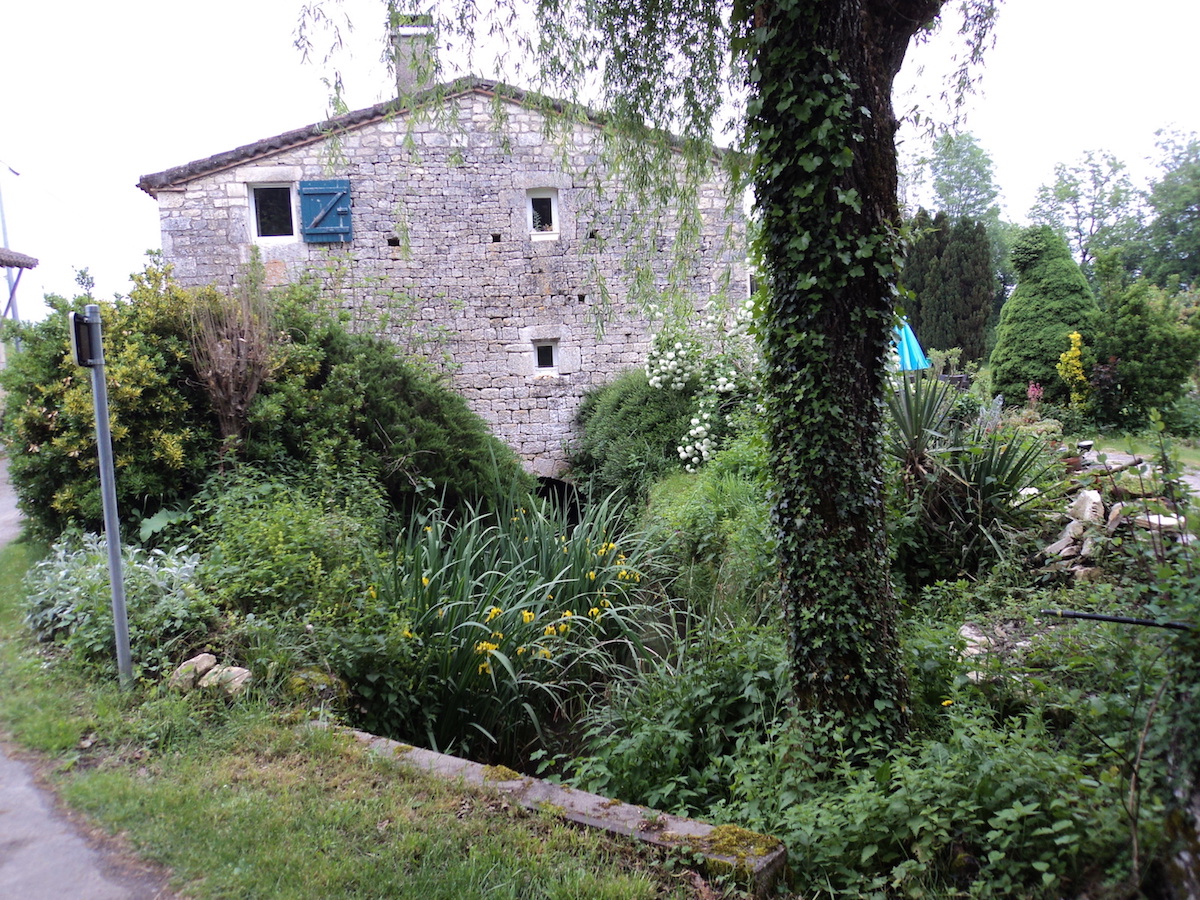 Dsc02170