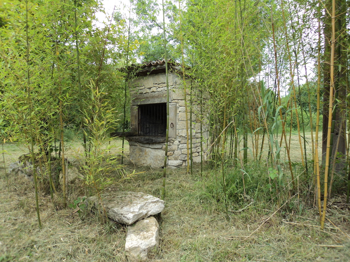 Dsc02196
