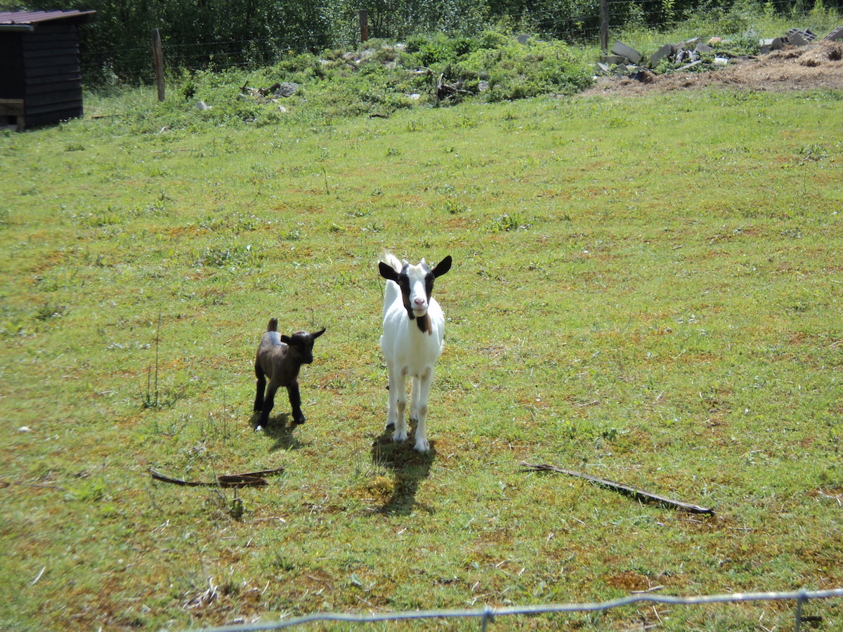 Dsc02201