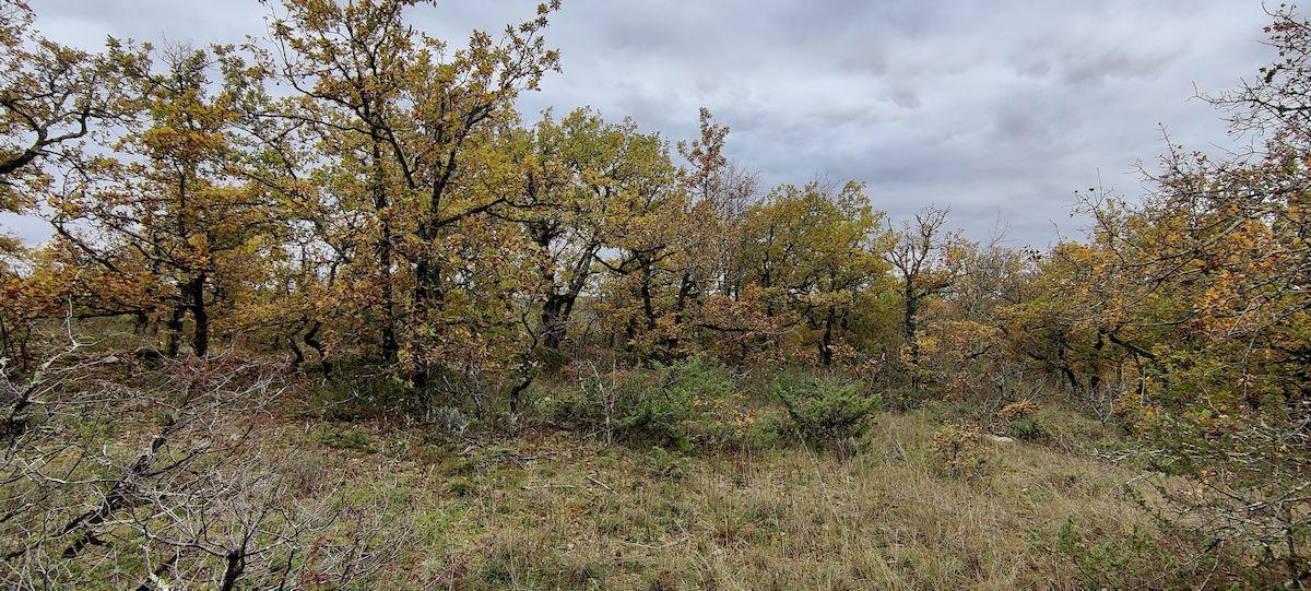 Img 20211114 151538 resultat