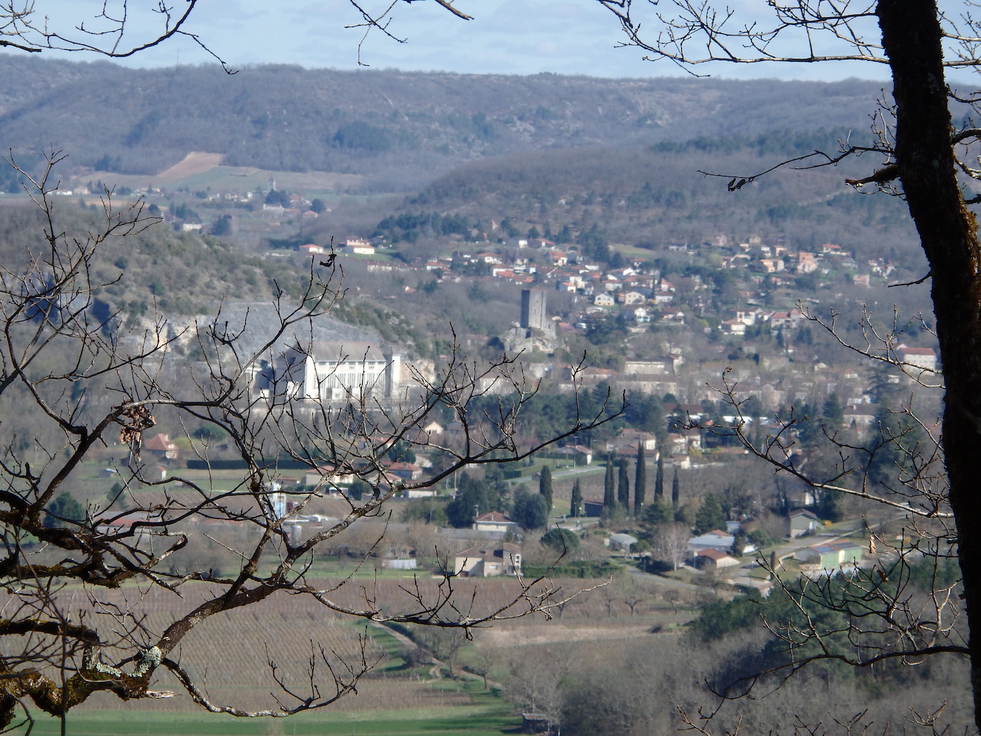 P3190014