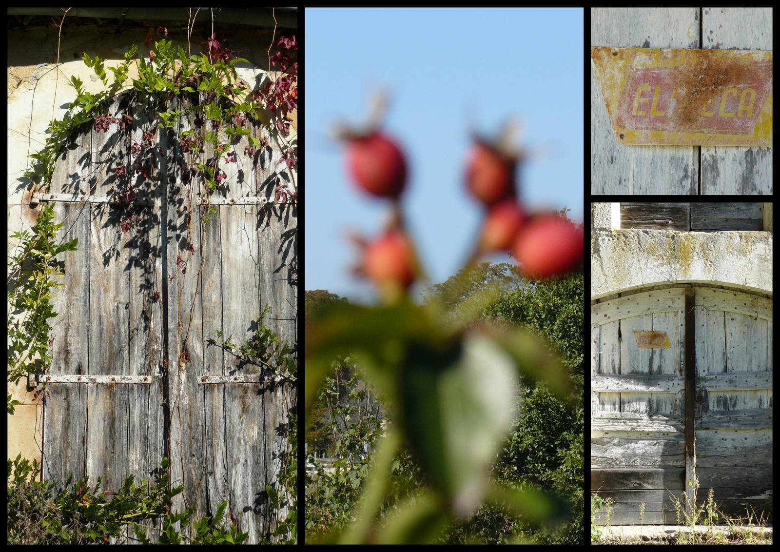 Rando 21 oct loupiac1