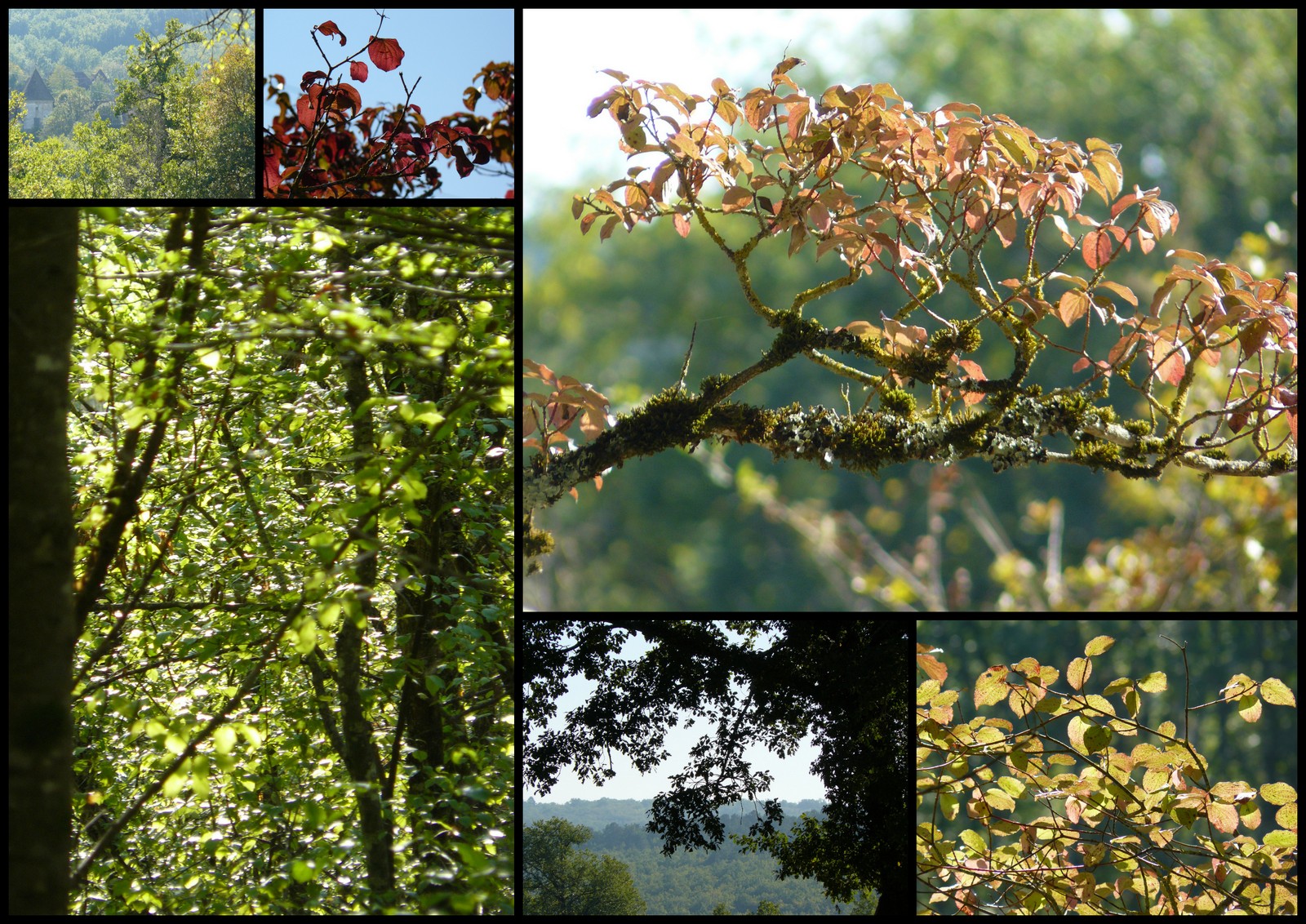 Rando 21 oct loupiac7