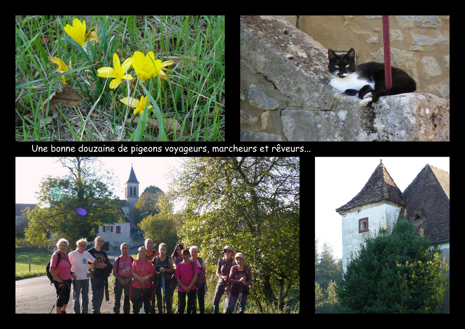 Rando 21 oct loupiac9