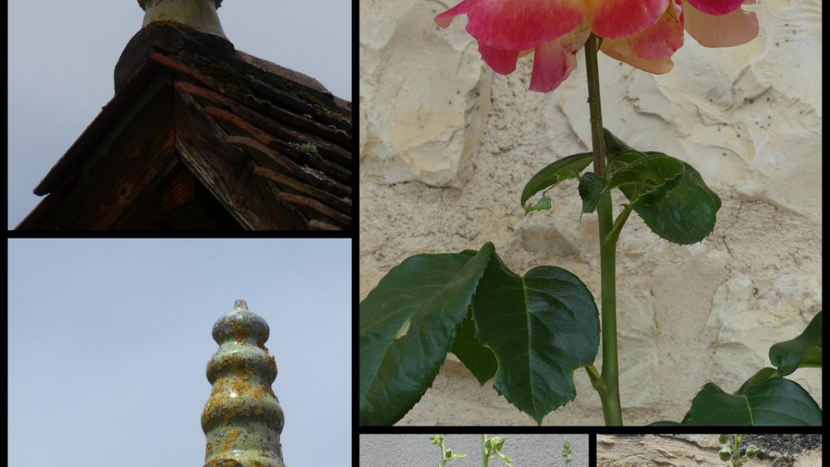 Rando 23 juin 2019 st chamarand1