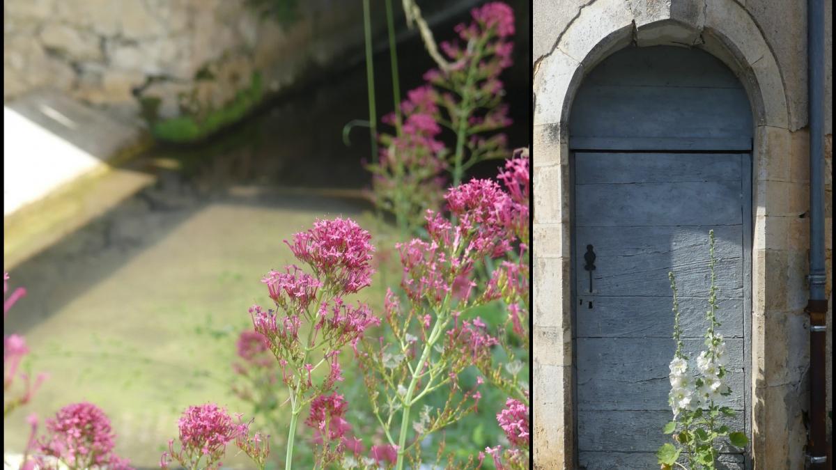 Rando 23 juin 2019 st chamarand11