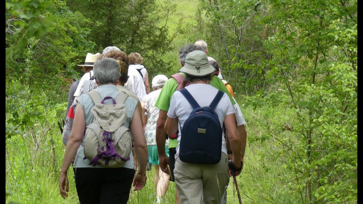 Rando 23 juin 2019 st chamarand4