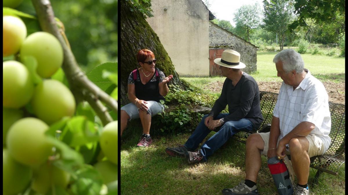 Rando 23 juin 2019 st chamarand9