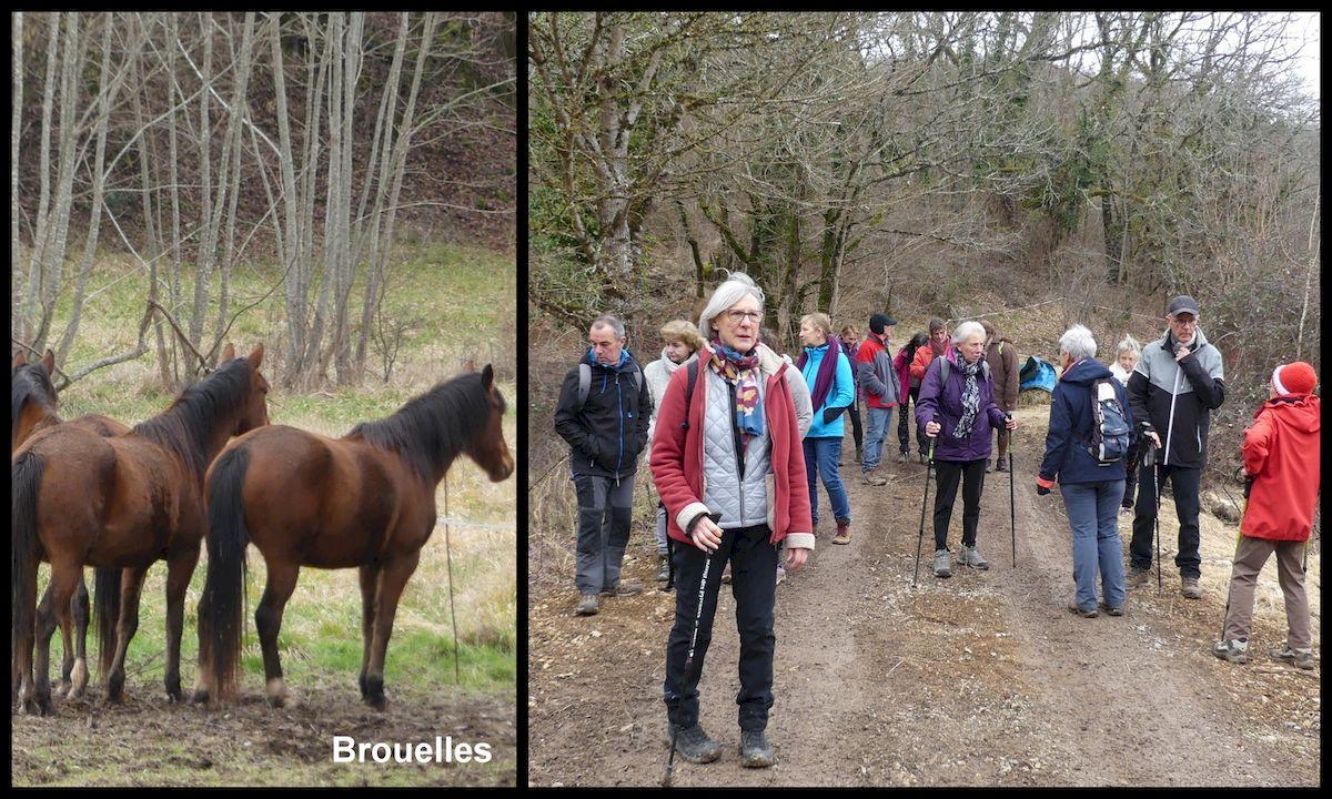 Rando 6 fevrier 2022 brouelles resultat