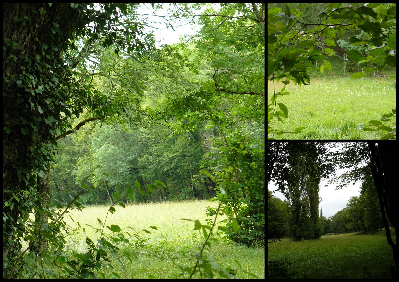 Rando 9 juil 2017 se niergues1