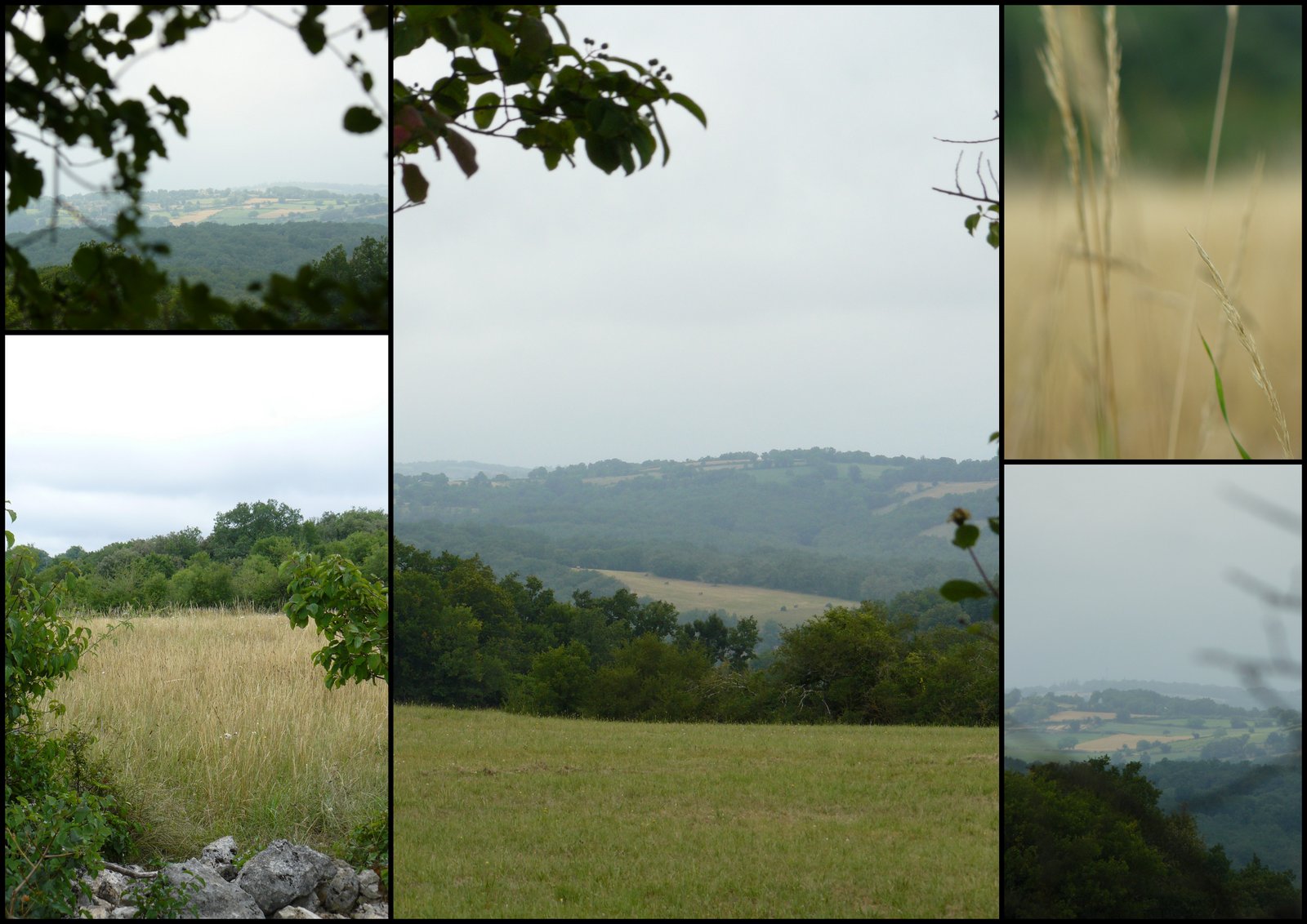 Rando 9 juil 2017 se niergues10