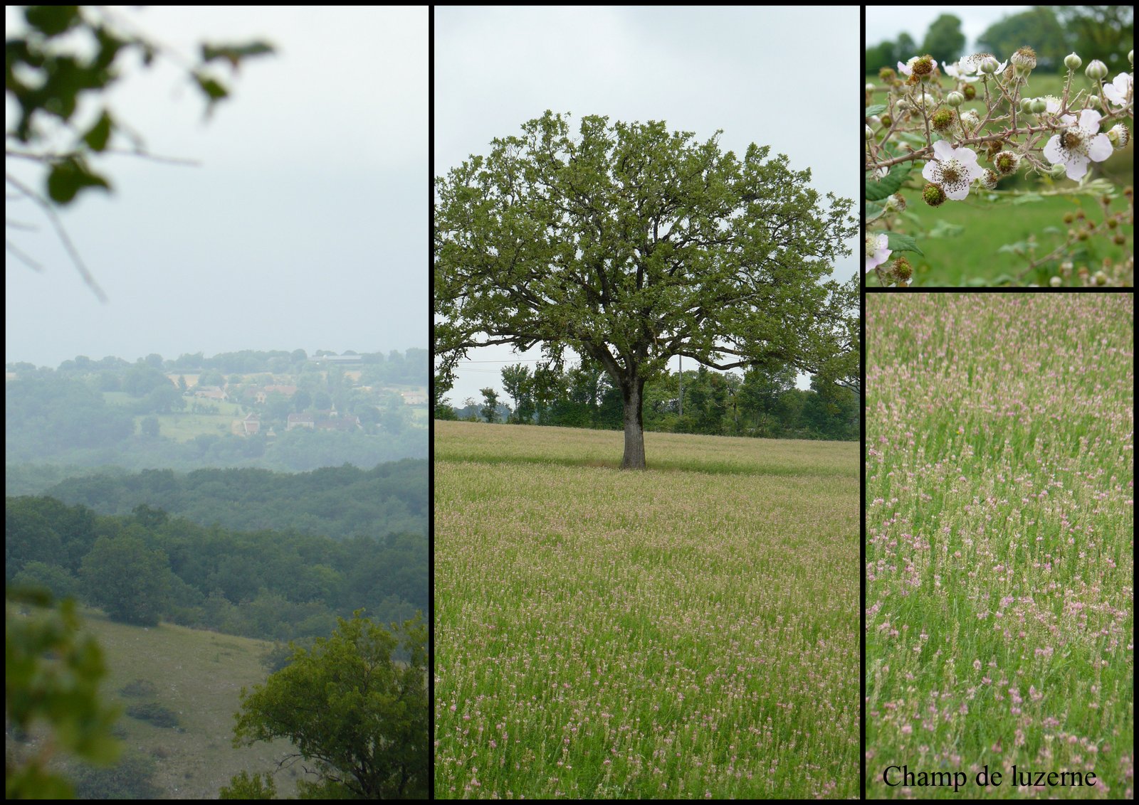 Rando 9 juil 2017 se niergues11