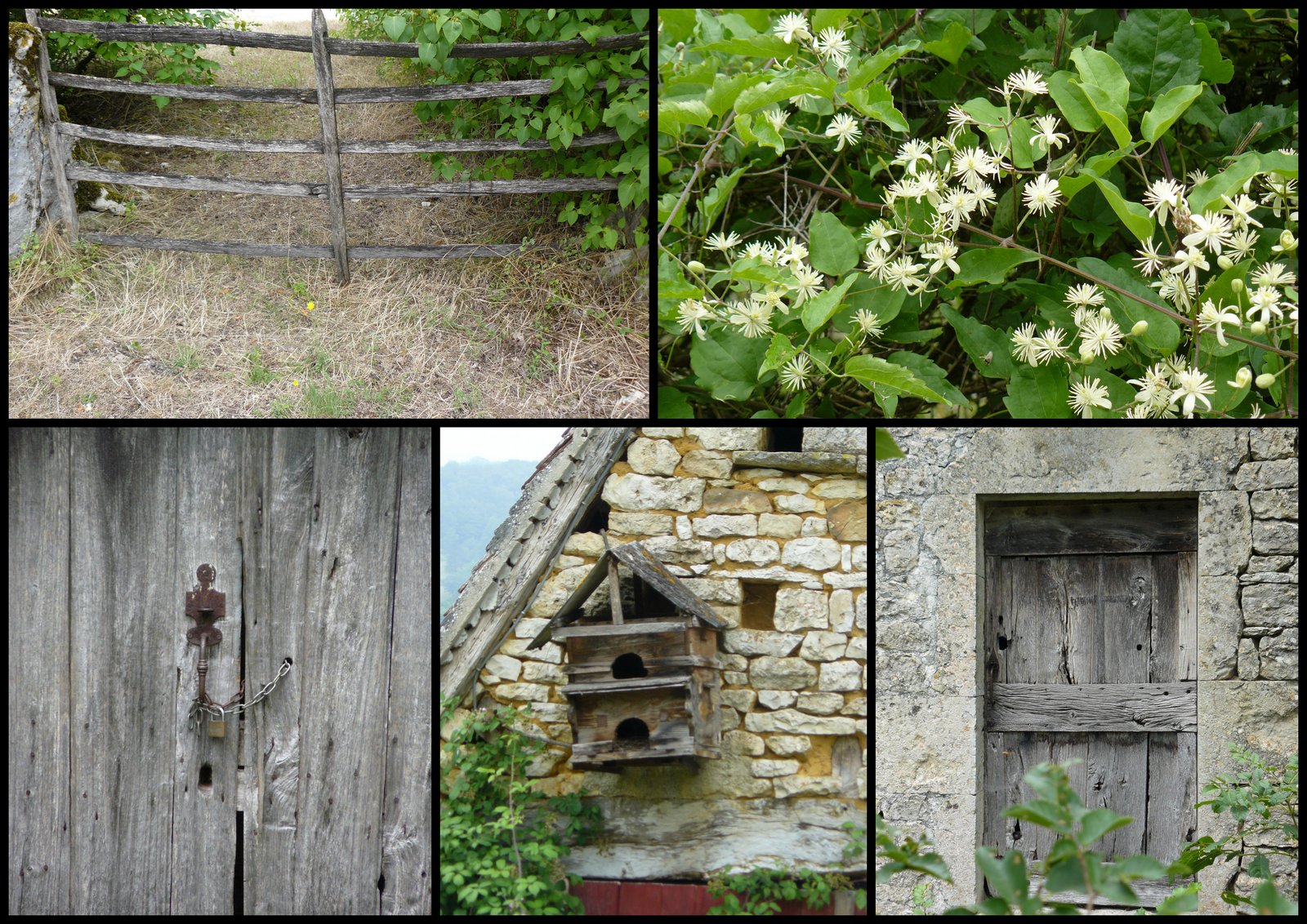 Rando 9 juil 2017 se niergues12