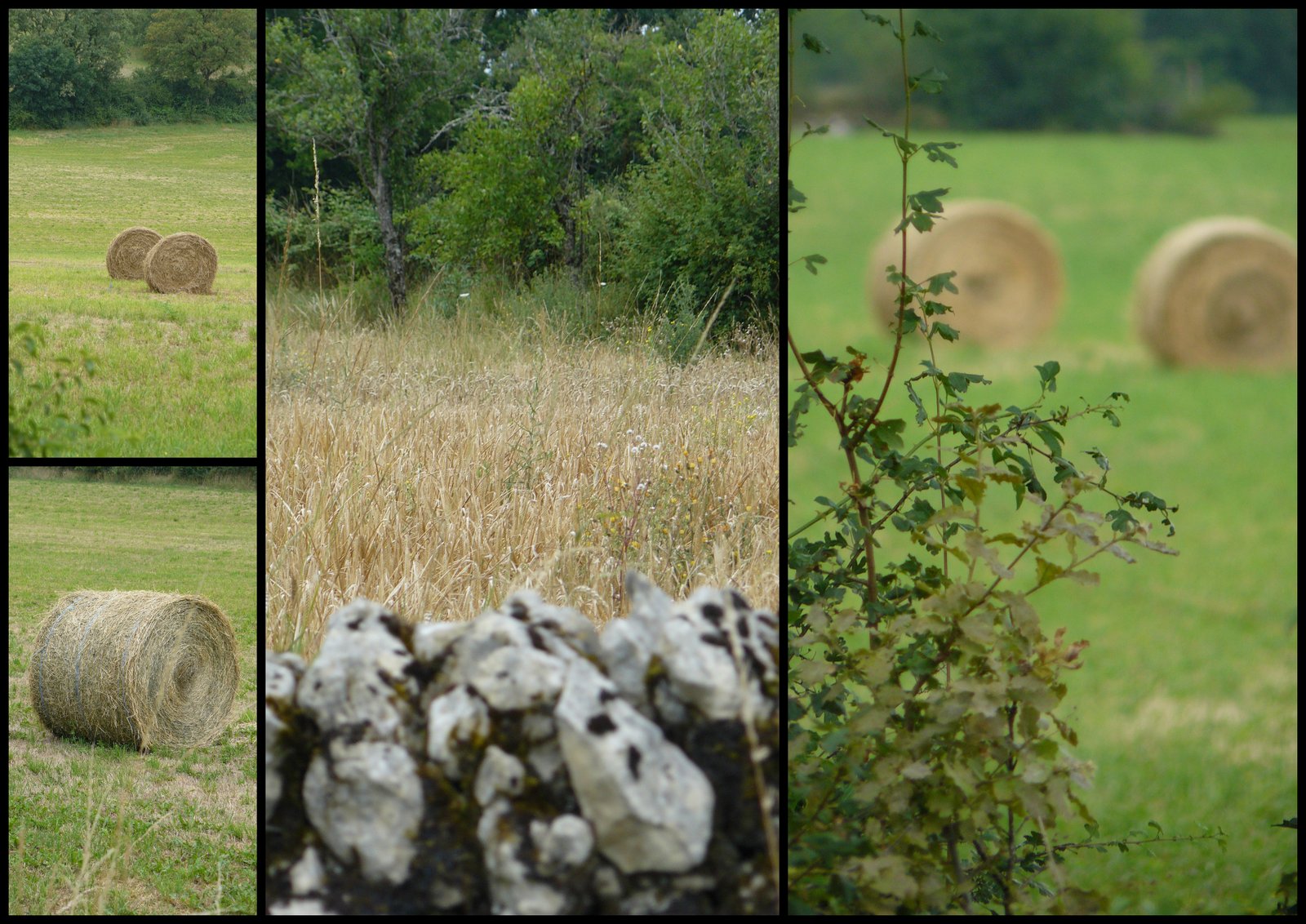 Rando 9 juil 2017 se niergues16