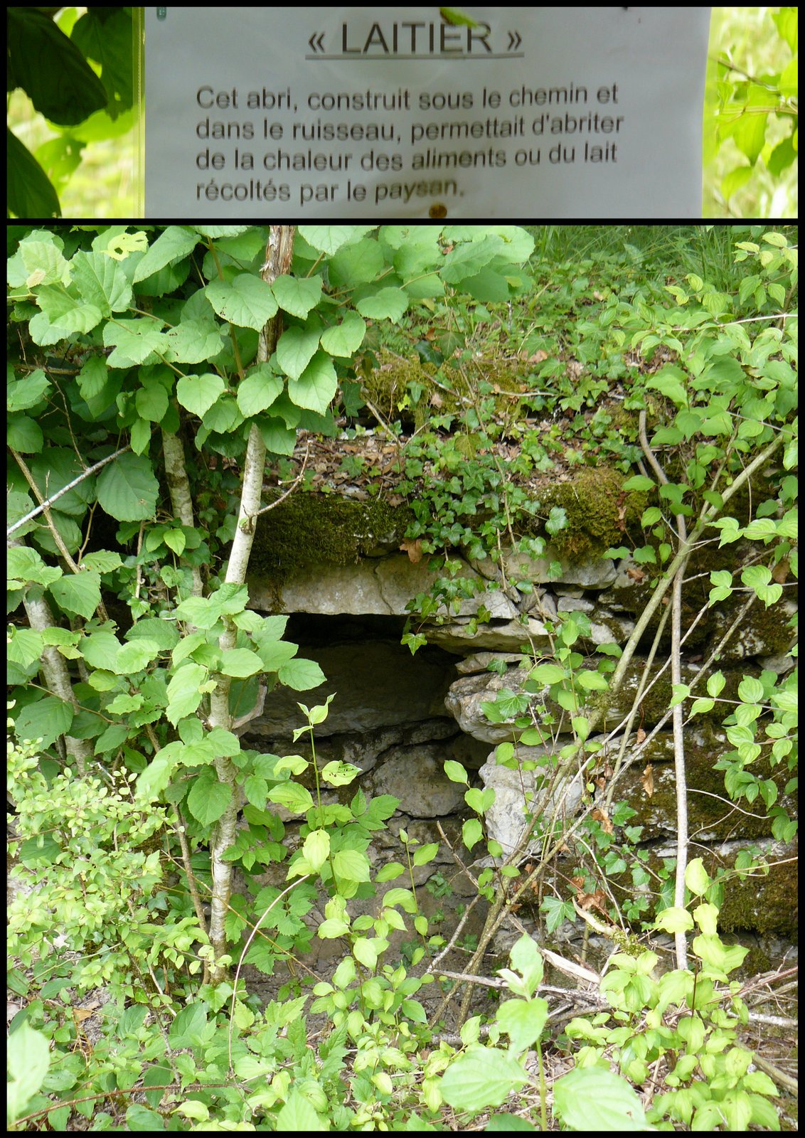 Rando 9 juil 2017 se niergues2