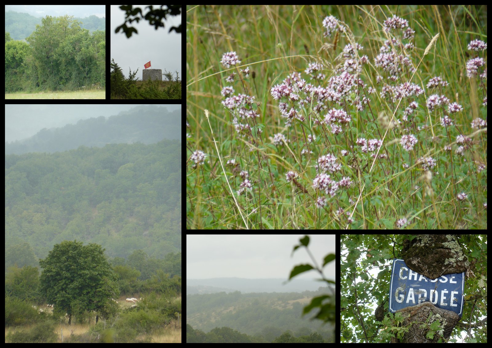 Rando 9 juil 2017 se niergues6