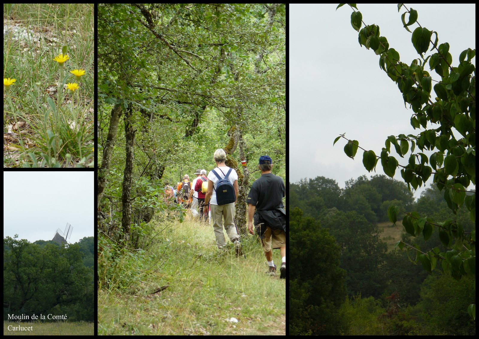 Rando 9 juil 2017 se niergues7