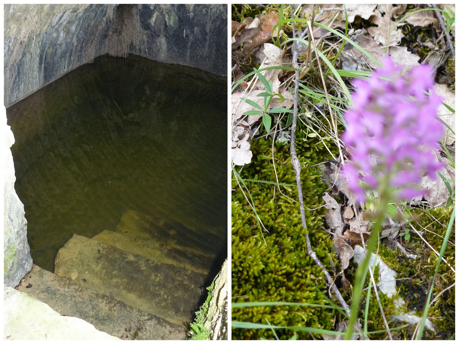 Rando les junies cahors 4 juin 201713