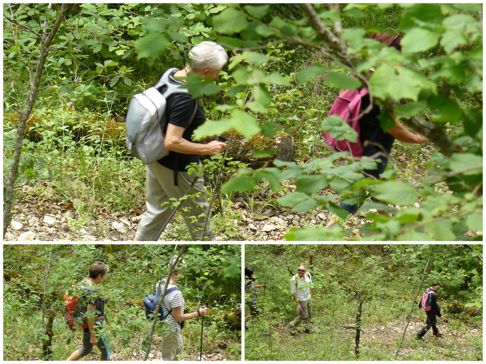 Rando les junies cahors 4 juin 20173