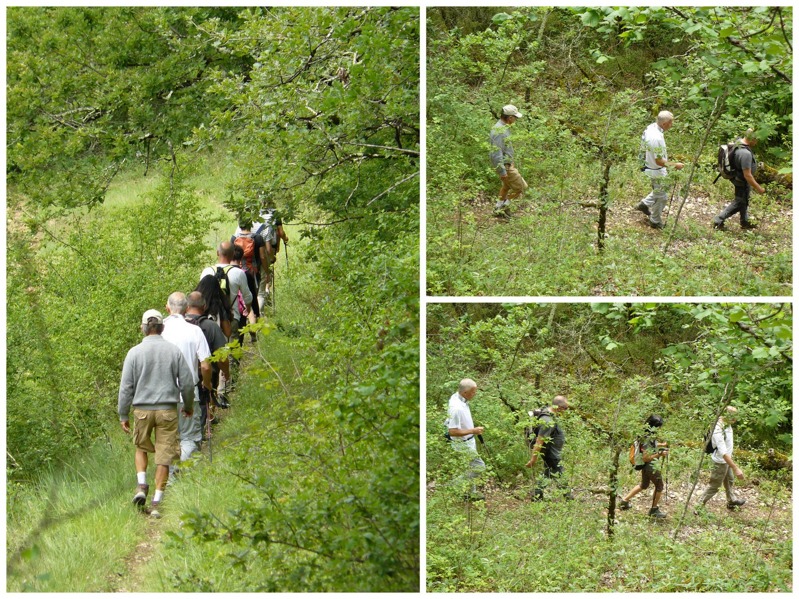 Rando les junies cahors 4 juin 20174