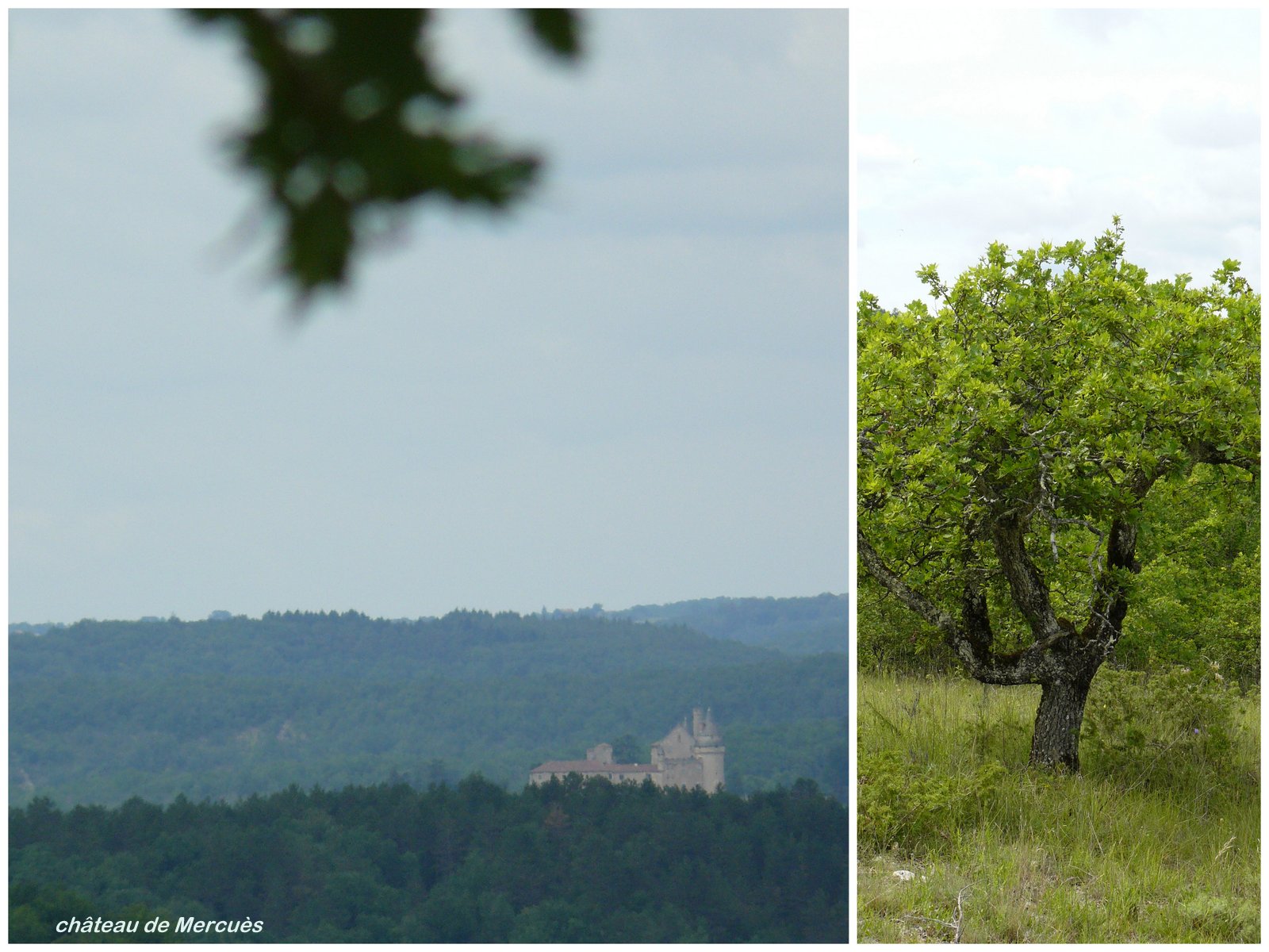 Rando les junies cahors 4 juin 20175