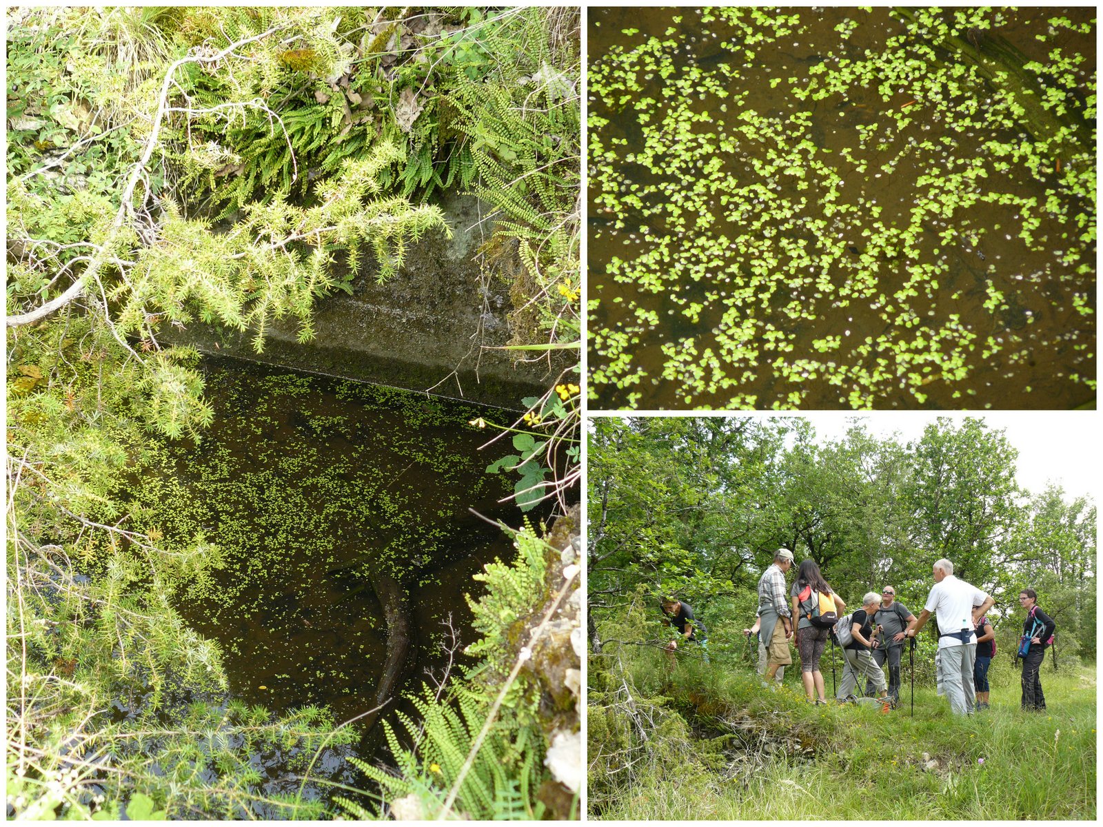 Rando les junies cahors 4 juin 20178