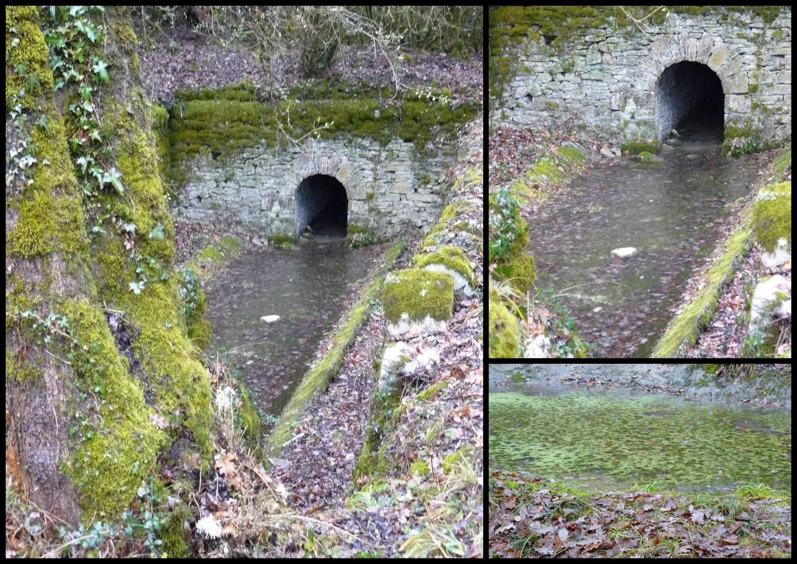 10 de c 2017 rando crayssac1